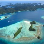 ワクセル ワクセル　映画 ペリリュー ペリリュー 楽園のゲルニカ 武田一義