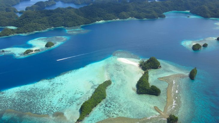 ワクセルで見つけた衝撃作――映画『ペリリュー 楽園のゲルニカ』が問いかけるもの