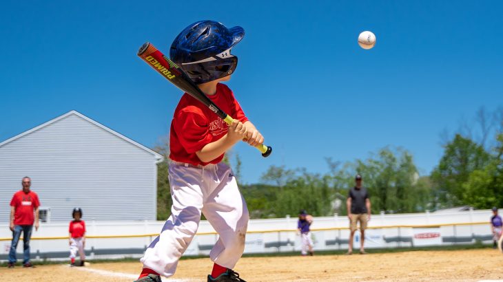 ワクセル ワクセル　Youtube 桧山進次郎 阪神タイガース